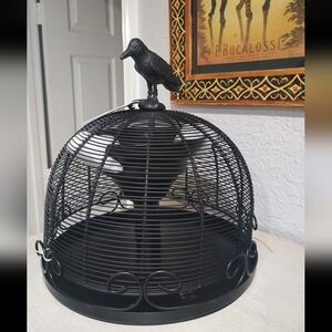 Raven Cheese Dome Appetizers Charcuterie Halloween Black Crow NEW